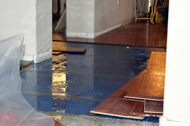 Professional Water Damage Restoration technician working in Dime Box, TX