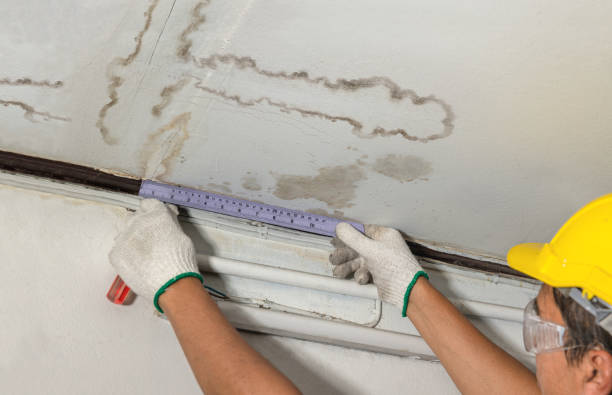 Reliable Water Damage Restoration contractor in Dime Box, TX by Water Damage Irwin
